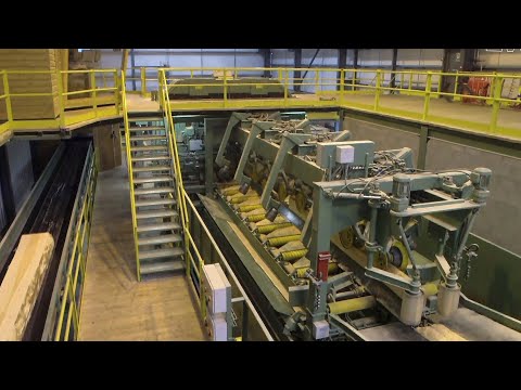 EWD Sägetechnik Bandsägetechnik Sägewerk Ransford & Son Ltd Sägewerk 2020