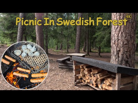 Serenity in Stadsskogen, Uppsala, Sweden | 4K Picnic & Nature Walk