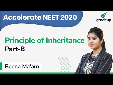 NEET 2020 | Class 12 | Botany  | Principle of Inheritance Video
