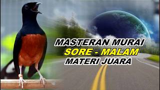 Download lagu 🔴 LIVE 01 - MASTERAN MURAI BATU PAGI HARI FULL ISIAN TEMBAKAN MEWAH, BIKIN MURAI BATU BONGKAR ISIAN mp3
