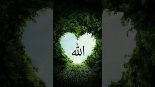 Download lagu #allahmuhammad #lailahaillallah mp3