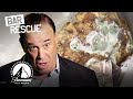 Bar Rescue S Dirtiest Bars 🫢 SUPER COMPILATION