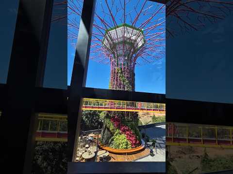 Elevador Panorâmico Caldas Novas #travel #vacation #Caldasnovas