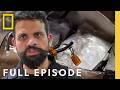 Wicked Drugs Suspicious Vehicles Full Episode To Catch A Smuggler National Geographic