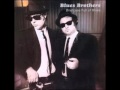 The Blues Brothers (I Got Everything I Need) Almost