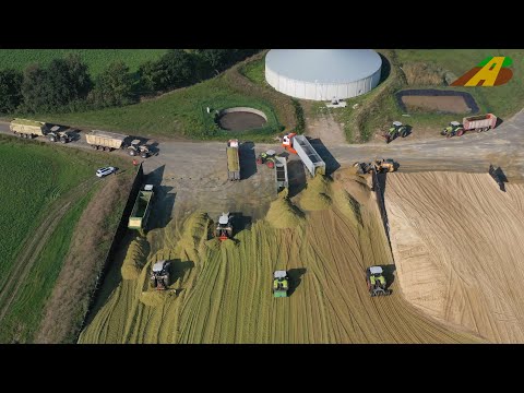 Großeinsatz Maishäckseln 2020 – 3500 ha Maisernte 20 Claas Traktoren / Häcksler farmer corn harvest