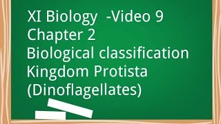 XI Biology- Chapter 2-Biological Classification-( Kingdom Protista- Dinoflagellates)