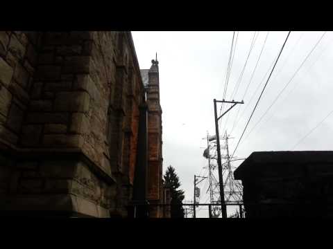 Falcons attacking smaller birds.