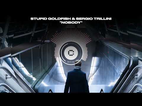 Stupid Goldfish & Sergio Trillini - Nobody (Official Visualizer)