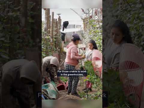 Reaching Independence Through Sustainable Farming | Dw Documentary