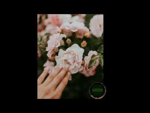 [FREE] PARTYNEXTDOOR x ERIC BELLINGER Type Beat – LOST TOUCH