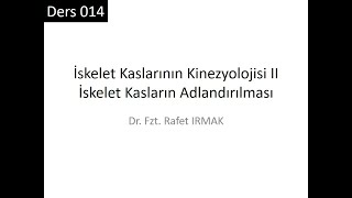 Kinezyoloji 01 Ders 014 İskelet Kaslarının Adlandırılması