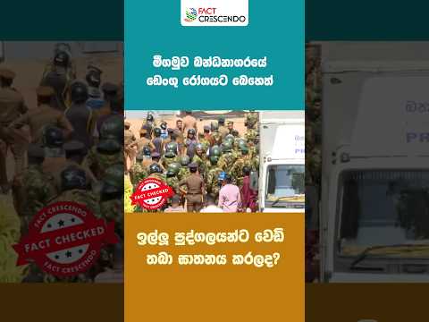 ඩෙංගු රෝගයට බෙහෙත් ඉල්ලූ මීගමුව බන්ධනාගාර රැඳවියන්ට වෙඩි තබා ඝාතනය කරලද