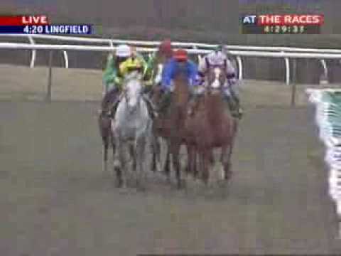 GITANO HERNANDO 02/27/2010