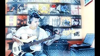Echo &amp; The Bunnymen - Burn It Down - Saulo Bass Cover