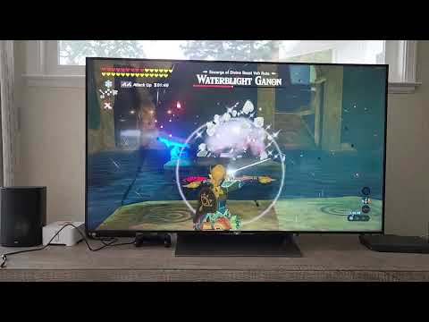 NOTORIOUS PIE - Easy way to defeat Waterblight Ganon