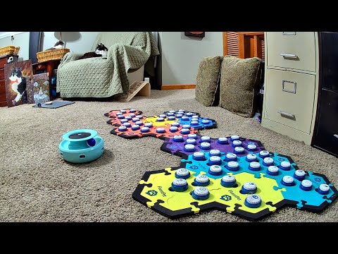 Todd was Sick, And His First Request Was For Paulie 🥹