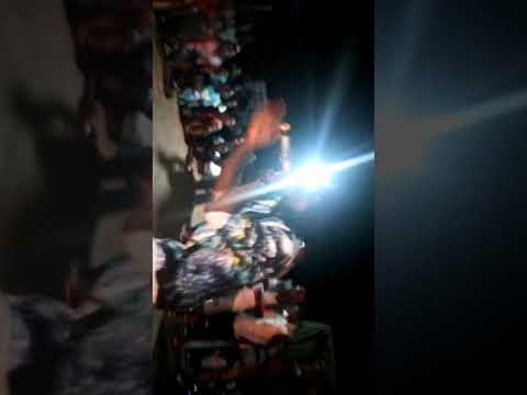 Ice Breezy live on Bushrod island summer jam 2019