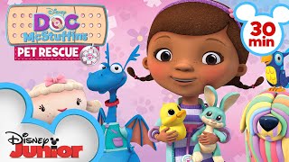 Pet Rescue  30 Minute Compilation  Doc McStuffins 