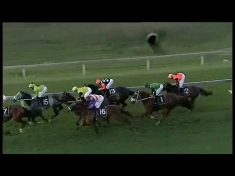 2016.11.26 Racing Association Handicap (RSA) - Fortissima