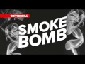 CritterKill Smoke Bomb - Kills Fleas Moths Bed Bugs & All Crawling And Flying Insects
