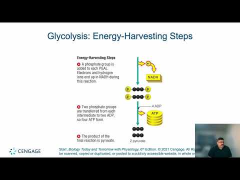 Chapter 6 Releasing Chemical Energy