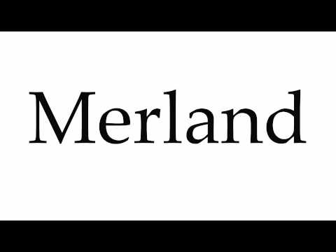 How to Pronounce Merland