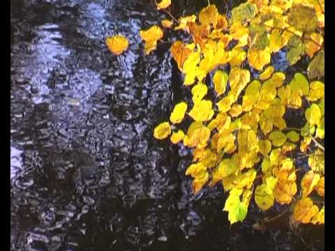 Satie Gymnopedie No. 1 - Rob Colley Piano