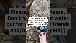 The world is brighter with gentle hearts ❤️ #animals #animallife #love #kindness #viral