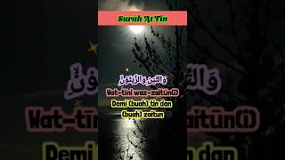 Download lagu SURAH AT TIN MERDU | BESERTA TERJEMAHAN RUMI #shortvideo #alquranmerdu #alquran #attin mp3