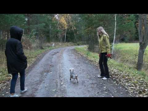 Pia the Deerhunter in Lillängsdal, Ingarö, Värmdö, Sweden