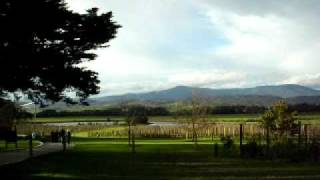 preview picture of video 'Domaine Chandon Winery, Yarra Valley, Australia'