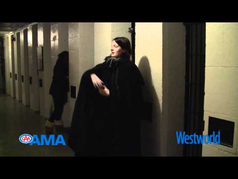 The Ottawa Youth Hostel