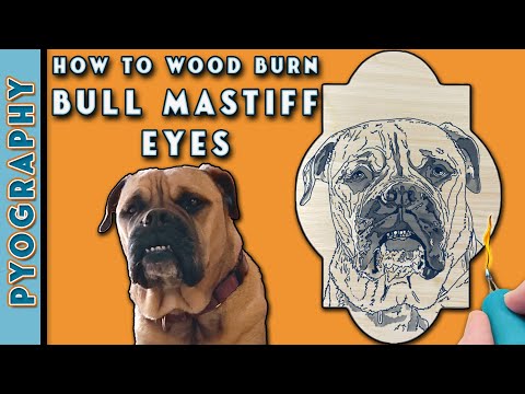 How To Pyrograph Like A Pro: Wood Burning A Bull Mastiff's Eyes // Part 1