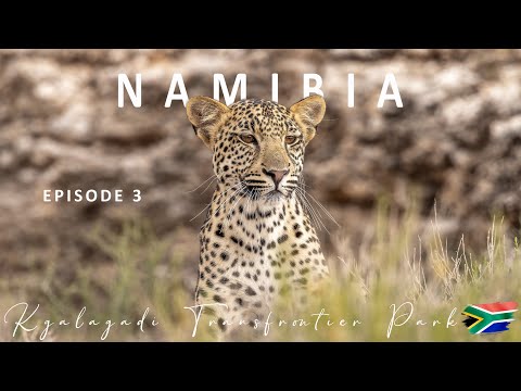 NAMIBIA 2024 | EXPECT THE UNEXPECTED | EPISODE 3 | KGALAGADI TRANSFRONTIER PARK