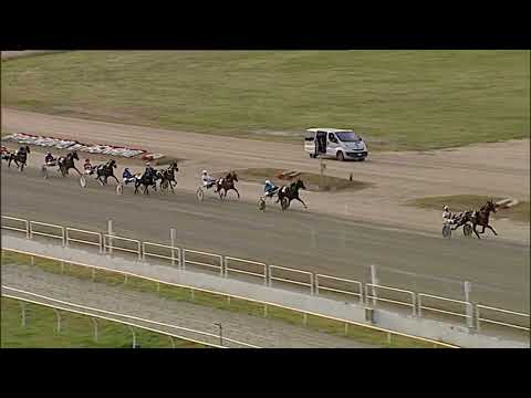 Napoli Trotto 17/09/2023 - 7ª corsa