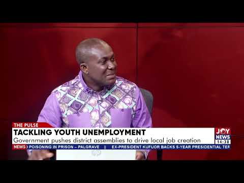 Private sectors don’t invest for the purpose of creating jobs in the country - Prof Nicholas Awortwi