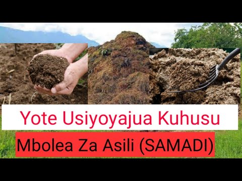, title : 'Usiyoyajua Kuhusu Mbolea ya Asili (Samadi)'