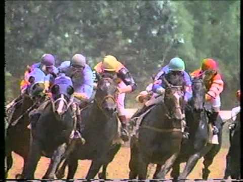 '80s Ad Breaks Vol. 12 - May 1988