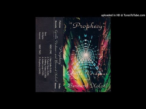 Cyrille Verdeaux And Bernard Xolotl ‎– Star Gulls (1981)