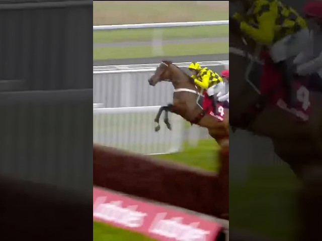 Thumbnail for Post ID: Fwmhm9sXzps