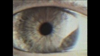 STRAY FROM THE PATH - Outbreak (Official Music Video)