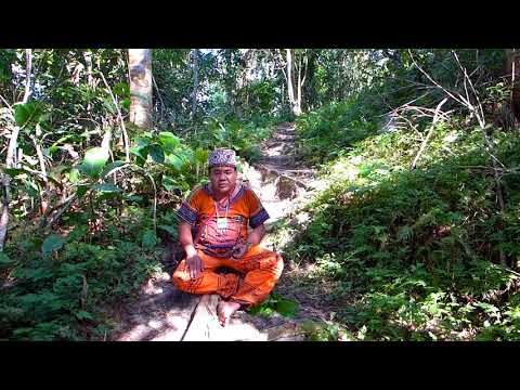 Maestro Jose singing an Ikaro