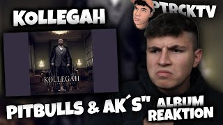 🤯🔥POAH WAS EIN SONG!!!...Reaktion : KOLLEGAH - PITBULLS &amp; AK´S (ZHT 4 Album - Reaktion) | PtrckTV