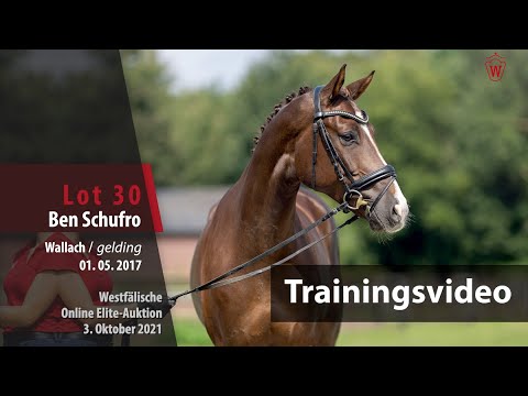 62. Elite-Auktion Training Lot 30 Ben Schufro v. Benicio/Don Schufro