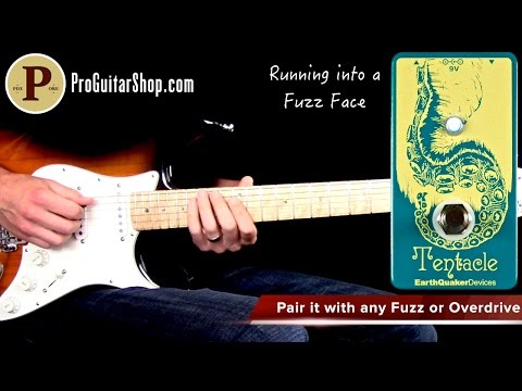 Earthquaker Devices Tentacle Demo by Mike Hermans