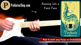 EarthQuaker Devices Tentacle - What To Know & Where To Buy EarthQuaker Devices Tentacle - What To Know & Where To Buy
