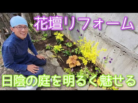 半日陰用の多年草 Rhododendron Praecox