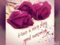 WAng Preet HARPaL