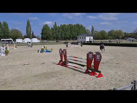 Turnierimpressionen - Keaton platziert sich in Elmshorn